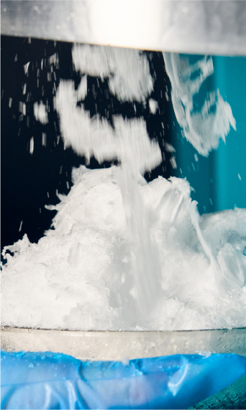 かき氷イメージ